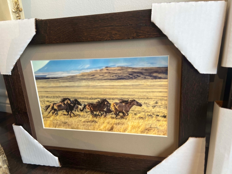Mustang Run by artist Claire Porter